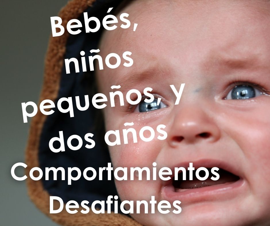 Comportamientos Desafiantes para bebés/niños pequeños/dos años