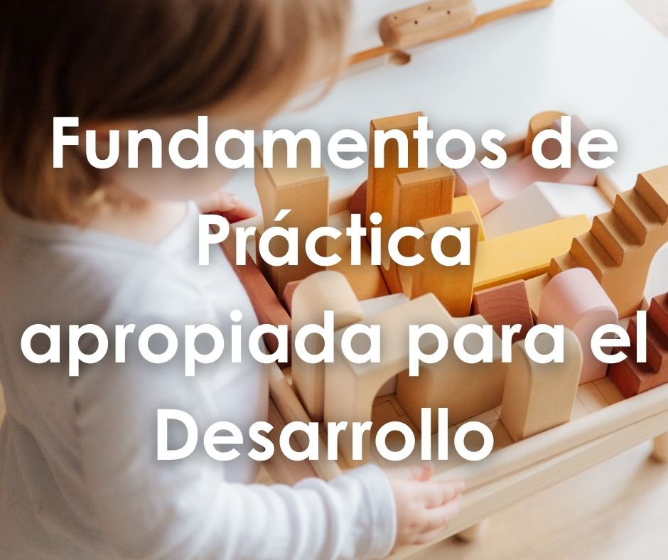 Fundamentos de Práctica apropiada para el Desarrollo