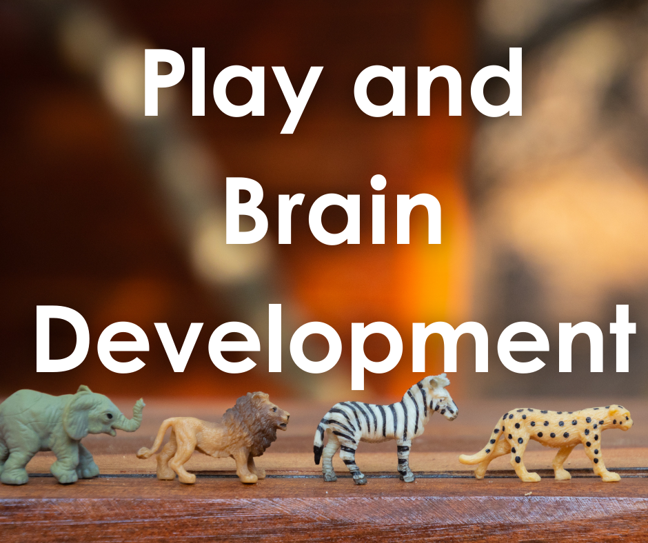 Play and Brain Development