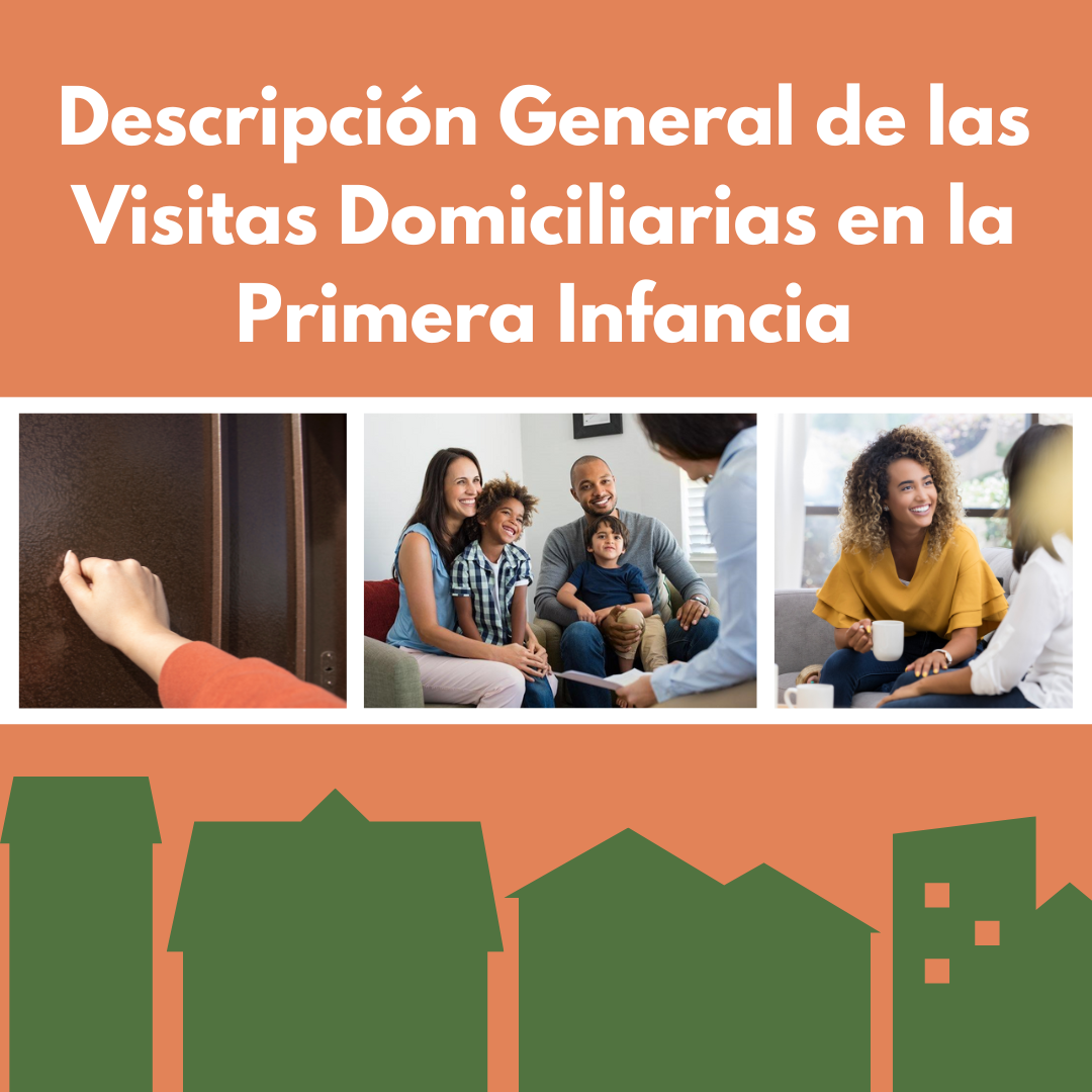 Descripción General de las Visitas Domiciliarias en la Primera Infancia